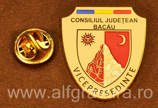 Insigna placata cu aur Vicepresedinte Consiliul Local Bacau