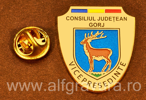 Insigna placata cu aur Vicepresedinte Consiliul Local Gorj