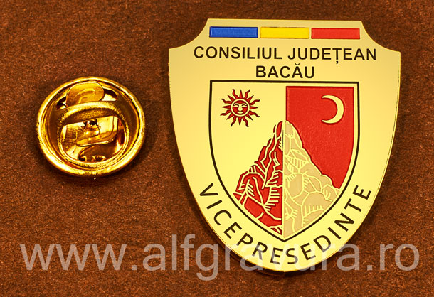 Insigna gravata alama Vicepresedinte Consiliul Local Bacau