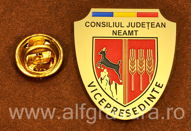 Insigna gravata alama Vicepresedinte Consiliul Local Neamt