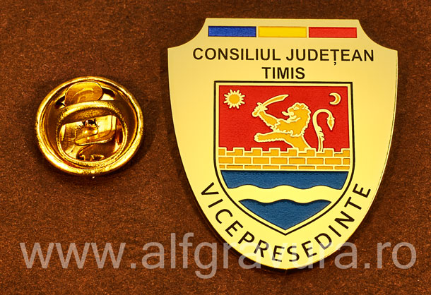 Insigna gravata alama Vicepresedinte Consiliul Local Timis
