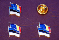 Insigne steaguri Romania Estonia