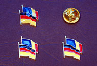 Insigne Romania Germania