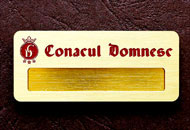 Ecusoane cu magnet alama