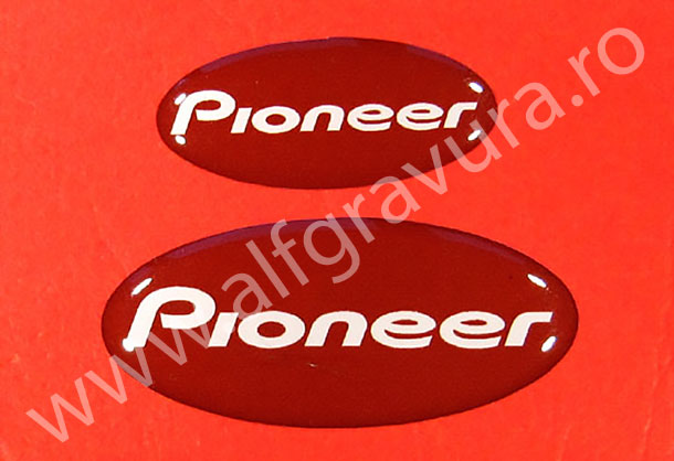 Etichete volumetrice cu rasina 45x20 mm
