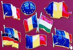 Insigne pins steaguri