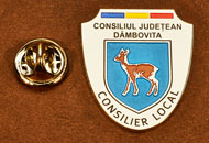 Insigne Suflate Nichel Consilier Local Dambovita