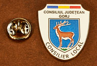 Insigne Suflate Nichel Consilier Local Gorj