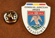 Insigne Placate Nichel Presedinte Consiliul Local Arges