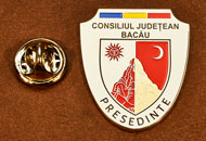 Insigne Placate Nichel Presedinte Consiliul Local Bacau