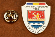 Insigne Nichelate Presedinte Consiliul Local Timis