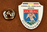 Insigne Placate Nichel Vice Presedinte Consiliul Local Arges