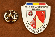 Insigne Placate Nichel Vice Presedinte Consiliul Local Bacau