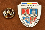 Insigne Placate Nichel Vice Presedinte Consiliul Local Bihor