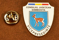 Insigne Suflate Nichel Vicepresedinte Consiliul Local Dambovita