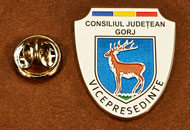 Insigne Suflate Nichel Vicepresedinte Consiliul Local Gorj