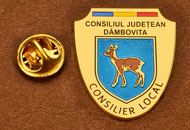Insigne Suflate Aur Consilier Local Dambovita