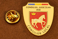 Insigne Aurite Consilier Local Iasi