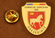 Insigne Aurite Presedinte Consiliul Local Iasi