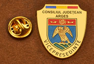 Insigne Placate Aur Vice Presedinte Consiliul Local Arges