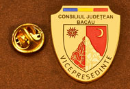 Insigne Placate Aur Vice Presedinte Consiliul Local Bacau