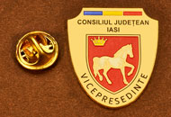 Insigne Aurite Vice-Presedinte Consiliul Local Iasi