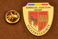 Insigne Aurite Vice-Presedinte Consiliul Local Neamt