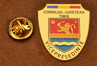 Insigne Aurite Vice-Presedinte Consiliul Local Timis