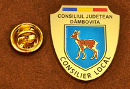Insigne Gravate Alama Consilier Local Dambovita