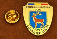 Insigne Gravate Alama Consilier Local Gorj
