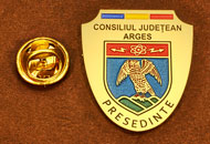 Insigne Alama Gravata Presedinte Consiliul Local Arges