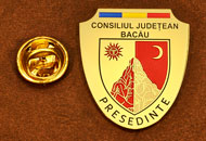 Insigne Alama Gravata Presedinte Consiliul Local Bacau