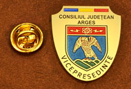 Insigne Alama Gravata Vice Presedinte Consiliul Local Arges