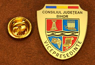 Insigne Alama Gravata Vice Presedinte Consiliul Local Bihor