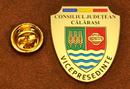Insigne Gravate Alama Vicepresedinte Consiliul Local Calarasi