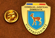 Insigne Gravate Alama Vicepresedinte Consiliul Local Dambovita