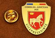 Insigne Gravate Vice-Presedinte Consiliul Local Iasi