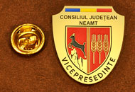 Insigne Gravate Vice-Presedinte Consiliul Local Neamt