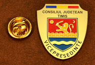 Insigne Gravate Vice-Presedinte Consiliul Local Timis