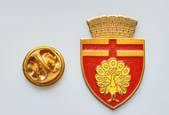 Insigne Alama Botosani