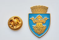 Insigne Alama Brasov