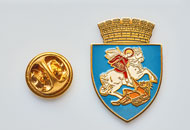 Insigne Alama Craiova