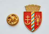 Insigne Alama Dorohoi