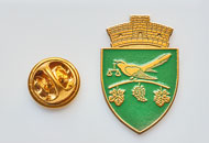 Insigne Alama Dumbraveni
