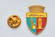 Insigne Alama Primaria Cluj Napoca