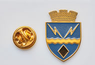 Insigne Alama Rovinari