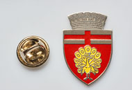 Insigne Nichelate Botosani