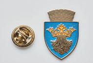 Insigne Nichelate Brasov