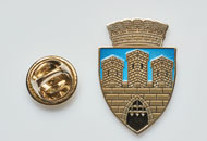 Insigne Nichelate Cluj Napoca
