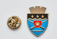 Insigne Nichelate Darabani